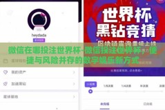 微信在哪投注世界杯-微信投注世界杯，便捷与风险并存的数字娱乐新方式