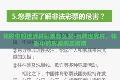 体彩中的世界杯彩票怎么买-玩转世界杯，体彩中的彩票购买指南