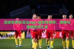 足球世界杯压注app-足球世界杯，激情与策略的交汇点