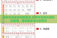 世界杯足球彩票哪里买-世界杯足球彩票购买指南，便捷渠道与注意事项