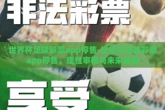 世界杯足球彩票app停售-世界杯足球彩票app停售，理性审视与未来展望
