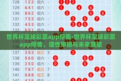 世界杯足球彩票app停售-世界杯足球彩票app停售，理性审视与未来展望