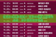 世界杯买彩票用哪个-世界杯热潮下的理性选择，买彩票的智慧考量