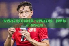 世界杯彩票开奖结果-世界杯彩票，梦想与机遇的碰撞