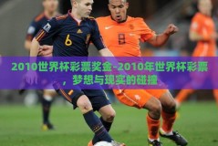 2010世界杯彩票奖金-2010年世界杯彩票，梦想与现实的碰撞