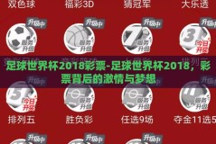 足球世界杯2018彩票-足球世界杯2018，彩票背后的激情与梦想