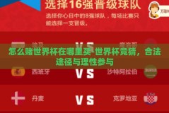 怎么赌世界杯在哪里买-世界杯竞猜，合法途径与理性参与