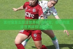 支付宝怎么投注世界杯-支付宝，便捷的足球世界杯投注新途径