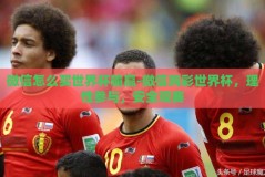 微信怎么买世界杯输赢-微信购彩世界杯，理性参与，安全观赛