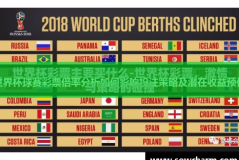 世界杯彩票主要买什么-世界杯彩票，激情与策略的碰撞