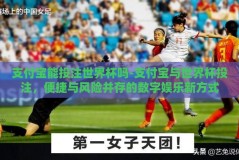 支付宝能投注世界杯吗-支付宝与世界杯投注，便捷与风险并存的数字娱乐新方式