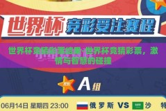 世界杯竞猜彩票结果-世界杯竞猜彩票，激情与智慧的碰撞
