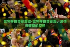 世界杯体育彩票赔-世界杯体育彩票，激情与策略的交织