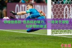 想赌世界杯-世界杯的魅力，一场关于激情与梦想的赌注