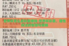 世界杯怎么买彩票赚钱-世界杯彩票，理性投注的智慧与策略