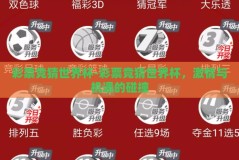 彩票竞猜世界杯-彩票竞猜世界杯，激情与机遇的碰撞