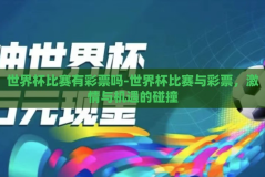 世界杯比赛有彩票吗-世界杯比赛与彩票，激情与机遇的碰撞