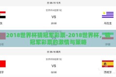 2018世界杯猜冠军彩票-2018世界杯，猜冠军彩票的激情与策略