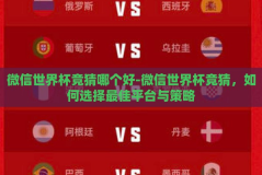 微信世界杯竞猜哪个好-微信世界杯竞猜，如何选择最佳平台与策略