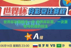 世界杯彩票投注一次-世界杯彩票，一次激情与机遇的投注