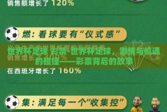 世界杯足球 彩票-世界杯足球，激情与机遇的碰撞——彩票背后的故事