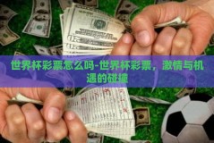 世界杯彩票怎么吗-世界杯彩票，激情与机遇的碰撞