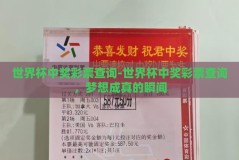 世界杯中奖彩票查询-世界杯中奖彩票查询，梦想成真的瞬间