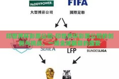 印世界杯彩票公司-印世界杯彩票公司的创新与挑战，一场全球瞩目的盛宴