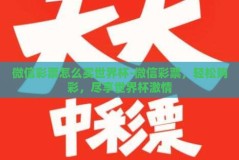 微信彩票怎么买世界杯-微信彩票，轻松购彩，尽享世界杯激情