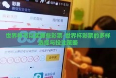 世界杯可以买那些彩票-世界杯彩票的多样选择与投注策略