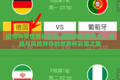 微信购买世界杯彩票-微信购彩新风尚，便捷与风险并存的世界杯彩票之旅