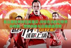 怎么赌世界杯在哪里买-如何合法参与世界杯竞猜，理性观赛与正规渠道指南