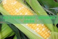 怎么下注世界杯-掌握技巧，如何明智地下注世界杯