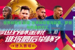 世界杯冠军 彩票-世界杯冠军与彩票，梦想与机遇的交汇