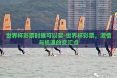 世界杯彩票时候可以买-世界杯彩票，激情与机遇的交汇点