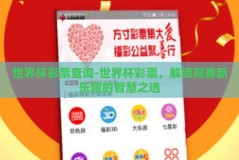 世界杯彩票查询-世界杯彩票，解锁观赛新乐趣的智慧之选