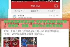 世界杯足球彩票分析-世界杯足球彩票的智慧博弈，数据、策略与心理的交响曲