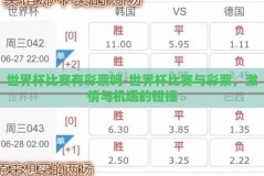 世界杯比赛有彩票吗-世界杯比赛与彩票，激情与机遇的碰撞