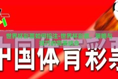 世界杯彩票如何投注-世界杯彩票，策略与技巧的完美结合