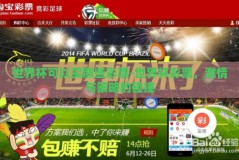 世界杯可以买那些彩票-世界杯彩票，激情与策略的碰撞