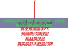 世界杯彩票玩法说明-世界杯彩票，解锁激情与机遇的独特玩法指南