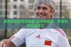 世界杯彩票中奖结果-世界杯彩票，梦想与现实的交汇