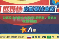 彩票投注世界杯-彩票投注世界杯，梦想与机遇的碰撞