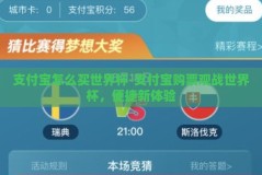 支付宝怎么买世界杯-支付宝购票观战世界杯，便捷新体验