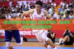 微信世界杯微信群名-微信世界杯，球迷的狂欢与社交新阵地
