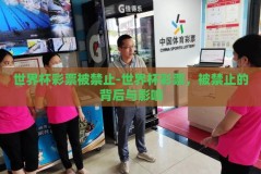 世界杯彩票被禁止-世界杯彩票，被禁止的背后与影响