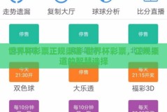 世界杯彩票正规渠道-世界杯彩票，正规渠道的智慧选择
