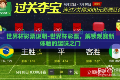 世界杯彩票说明-世界杯彩票，解锁观赛新体验的趣味之门