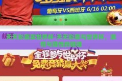 天天彩票买世界杯-天天彩票与世界杯，激情与理性的碰撞