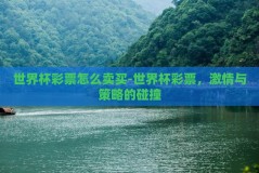 世界杯彩票怎么卖买-世界杯彩票，激情与策略的碰撞